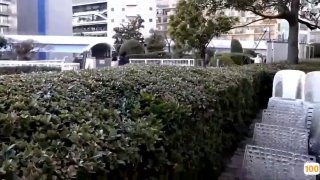6种日本风俗店种类